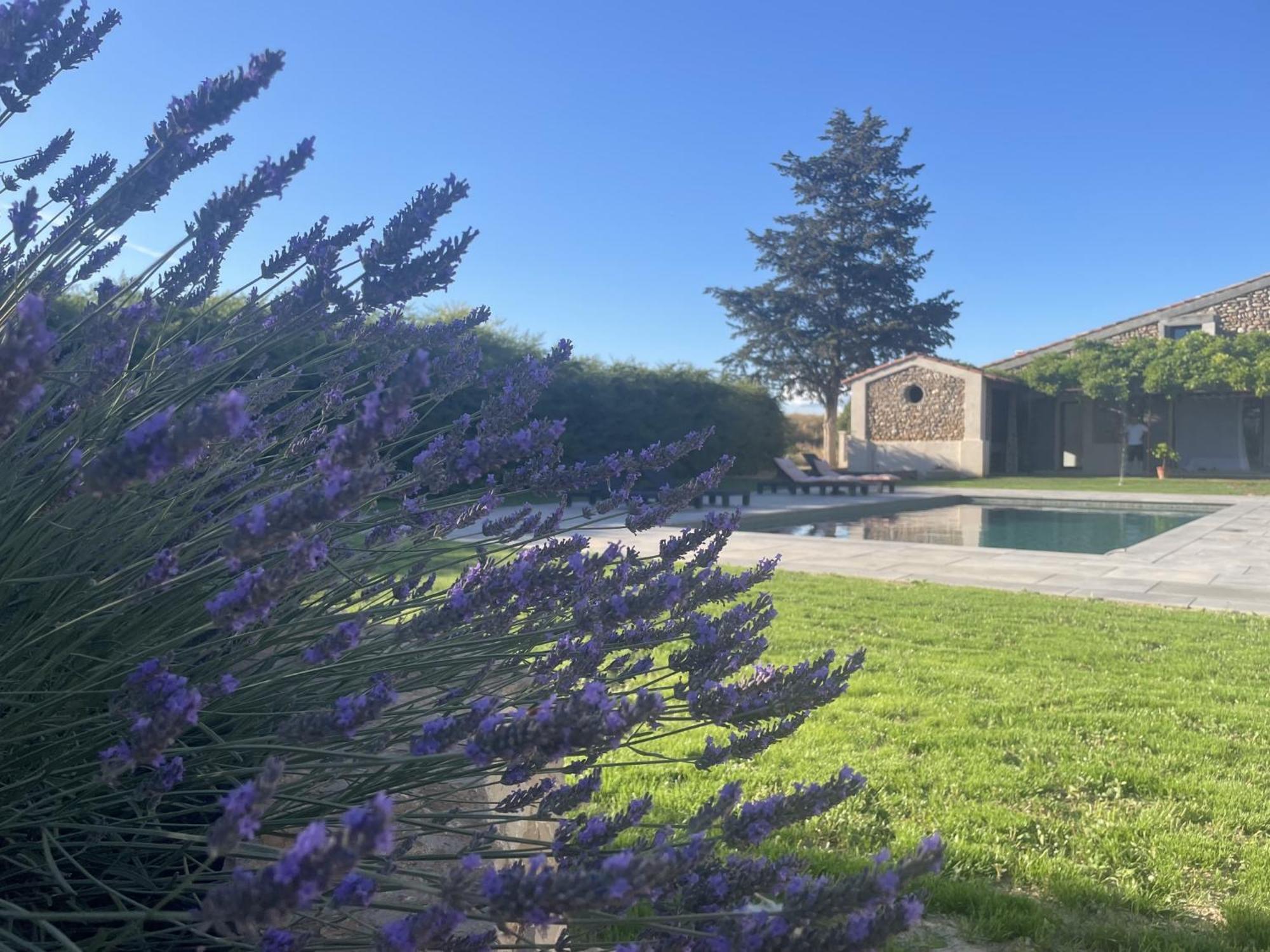 Les Mazets Du Pas Hotel Greoux-les-Bains Bagian luar foto