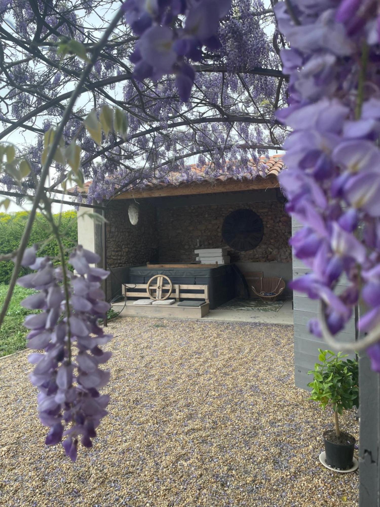 Les Mazets Du Pas Hotel Greoux-les-Bains Bagian luar foto