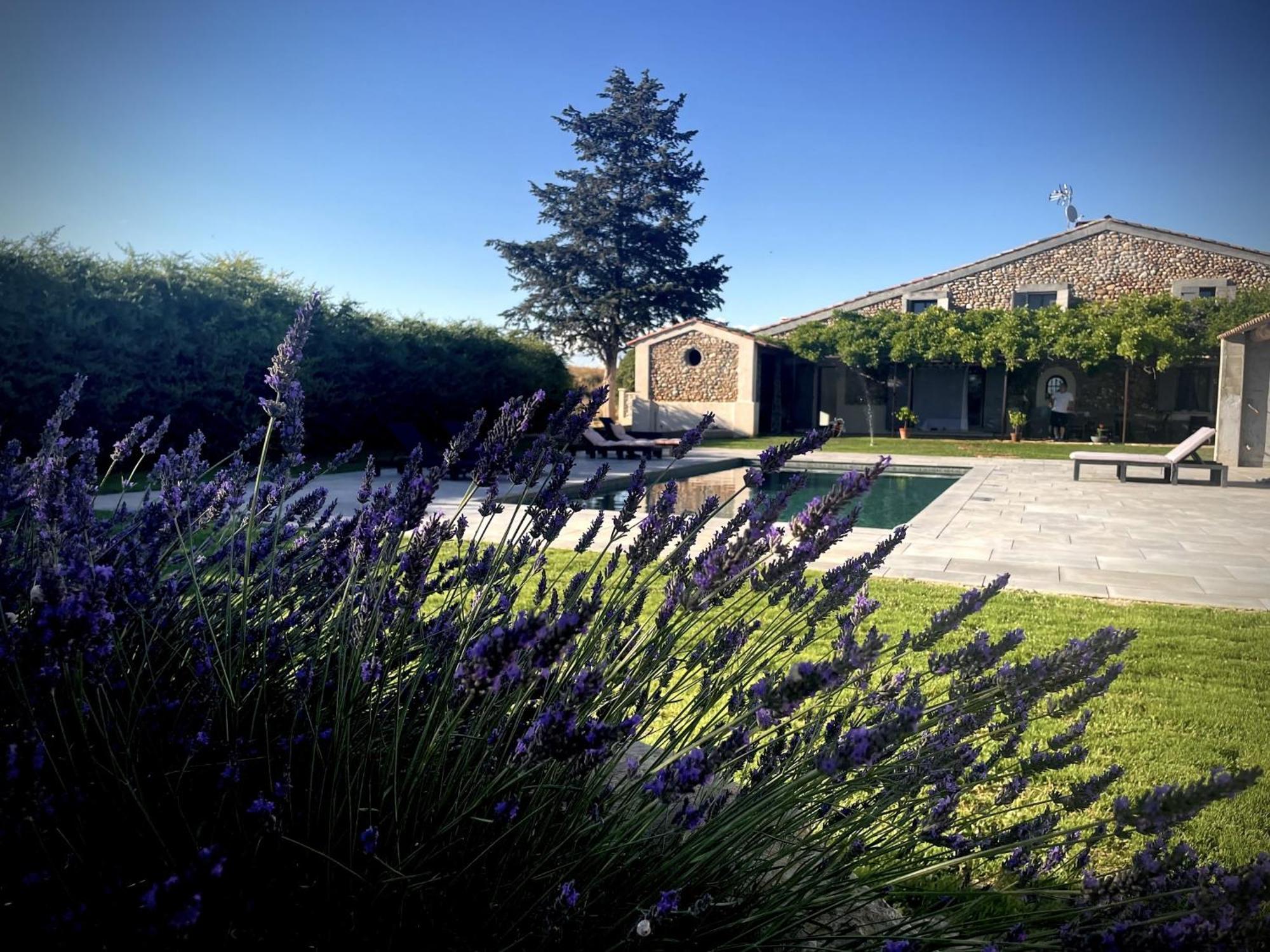 Les Mazets Du Pas Hotel Greoux-les-Bains Bagian luar foto